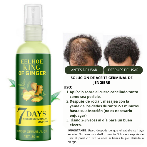 SOLUCIÓN REVITALIZANTE DE JENGIBRE