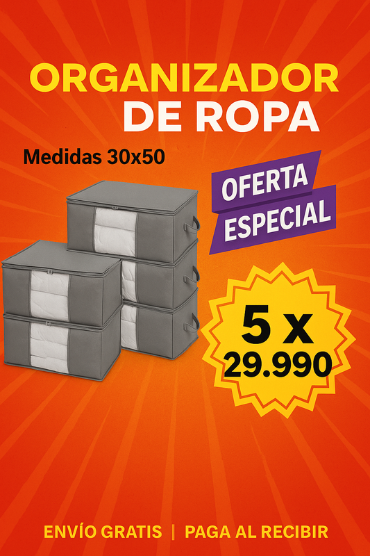5 ORGANIZADORES DE ROPA