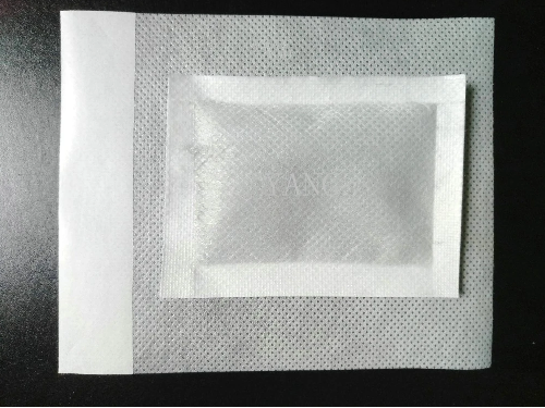 TRATAMIENTO DE 20 DÍAS KINOKI PARCHE PARA PIES DESINTOXICANTE