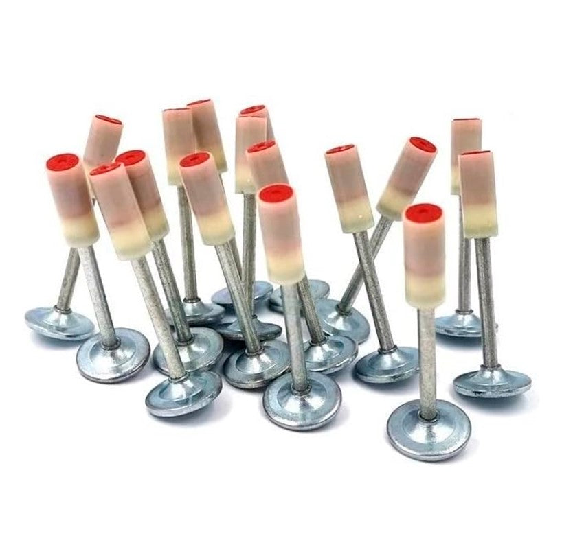 100 CLAVOS CON FULMINANTE PARA PISTOLA DE